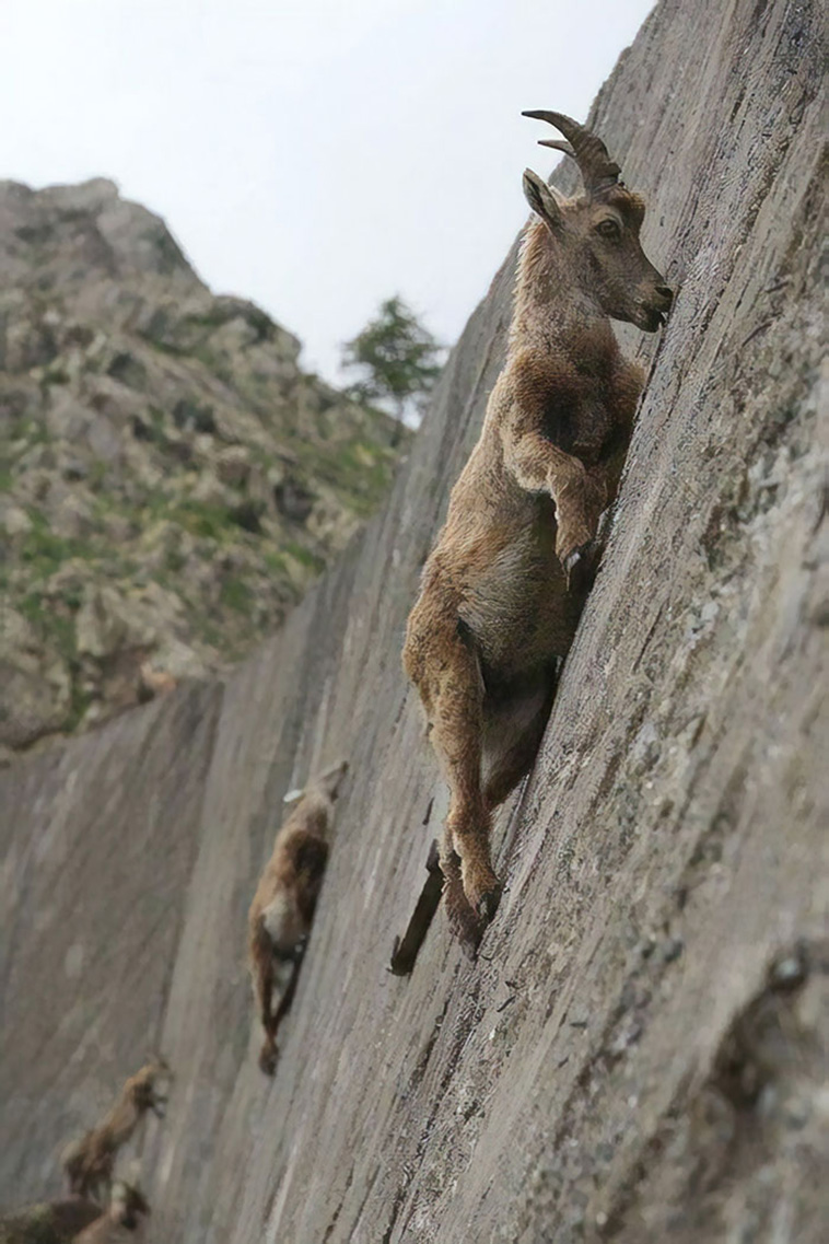 Gravity Defying Things