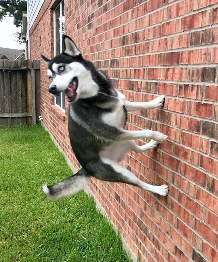 Gravity Defying Things