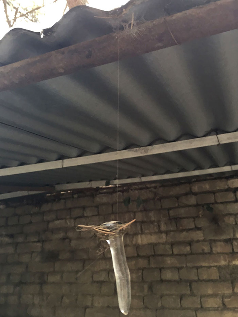 Gravity Defying Things