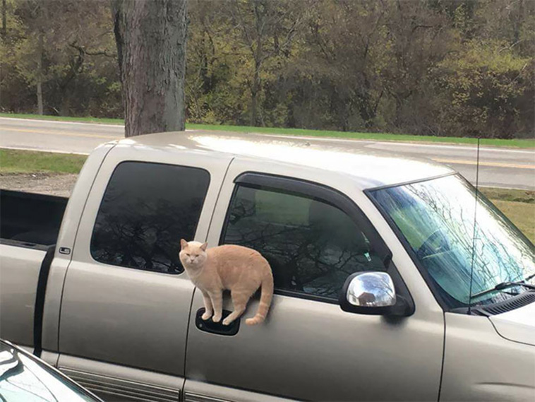 Gravity Defying Things