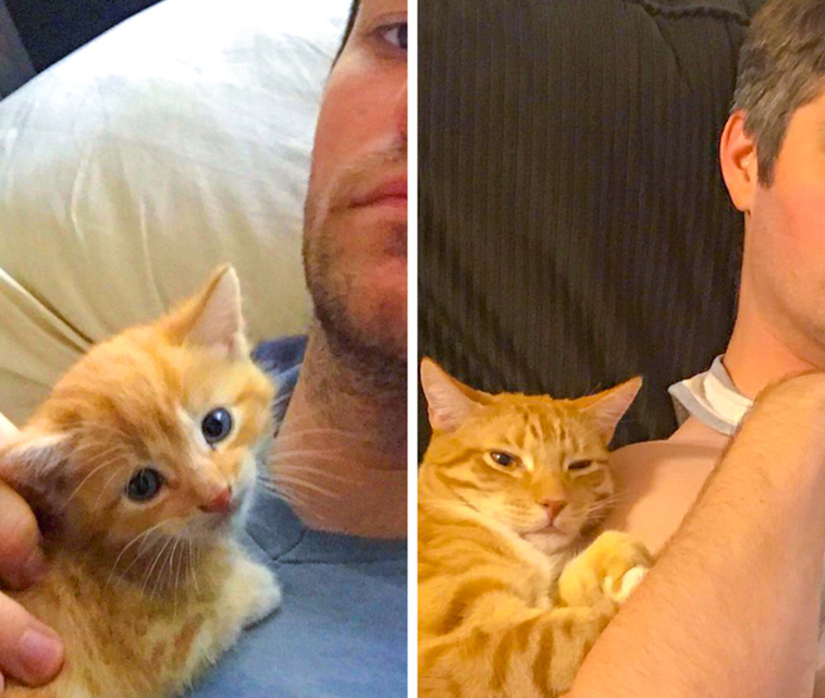 stories-about-pets-full-of-love