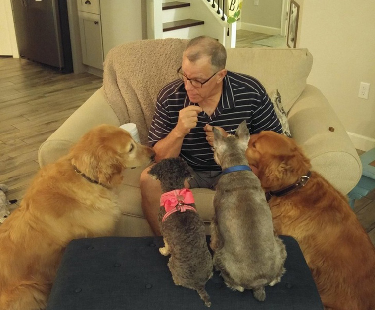 stories-about-pets-full-of-love