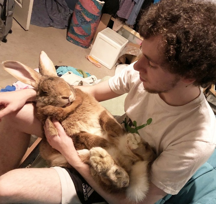 stories-about-pets-full-of-love