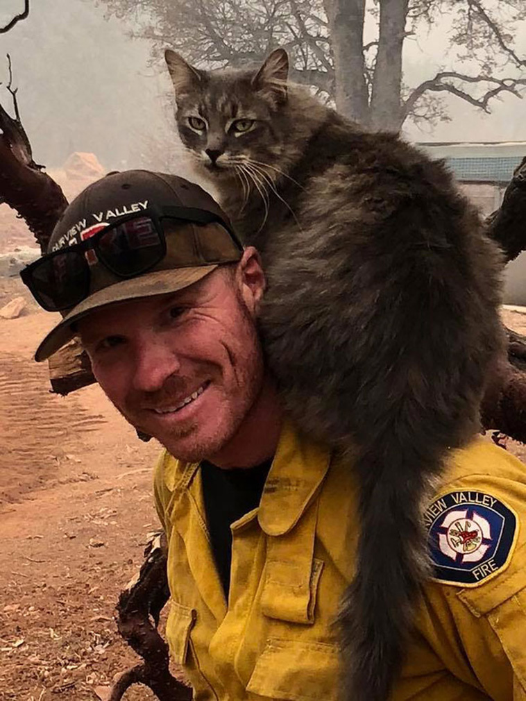 firefighter-saves-cat