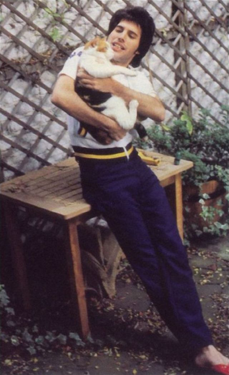 freddie-mercury-with-cats