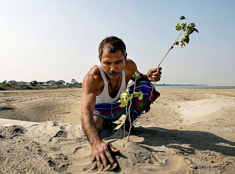 planting-trees-40-years-desolate-majuli-island
