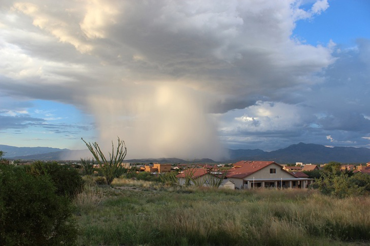 powerful-nature