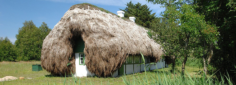 seaweed-roof-laeso-denmark