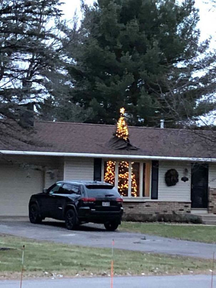 Creative Christmas Tree Ideas