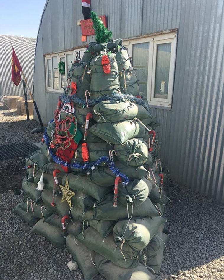 Creative Christmas Tree Ideas