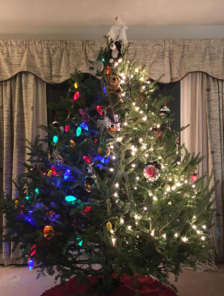 Creative Christmas Tree Ideas