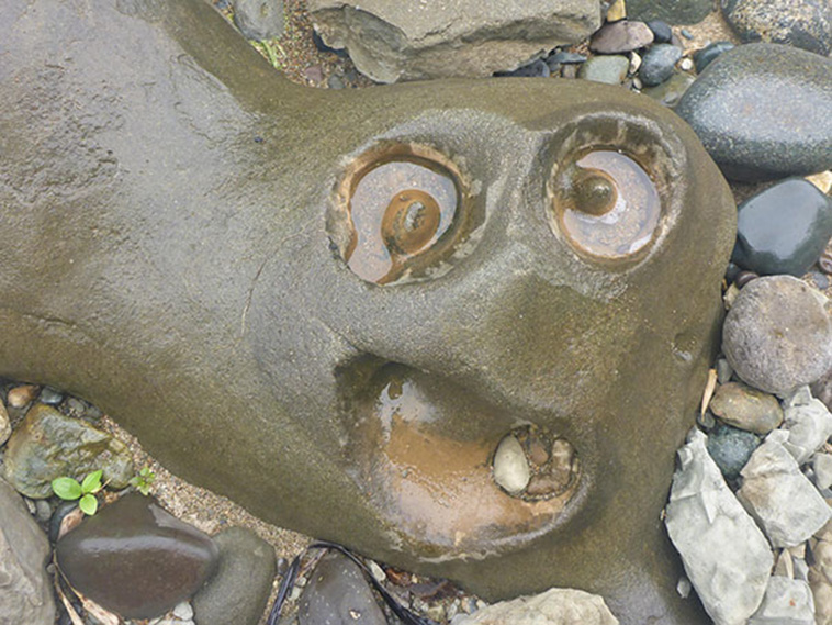 Pareidolia In The Most Unexpected Places
