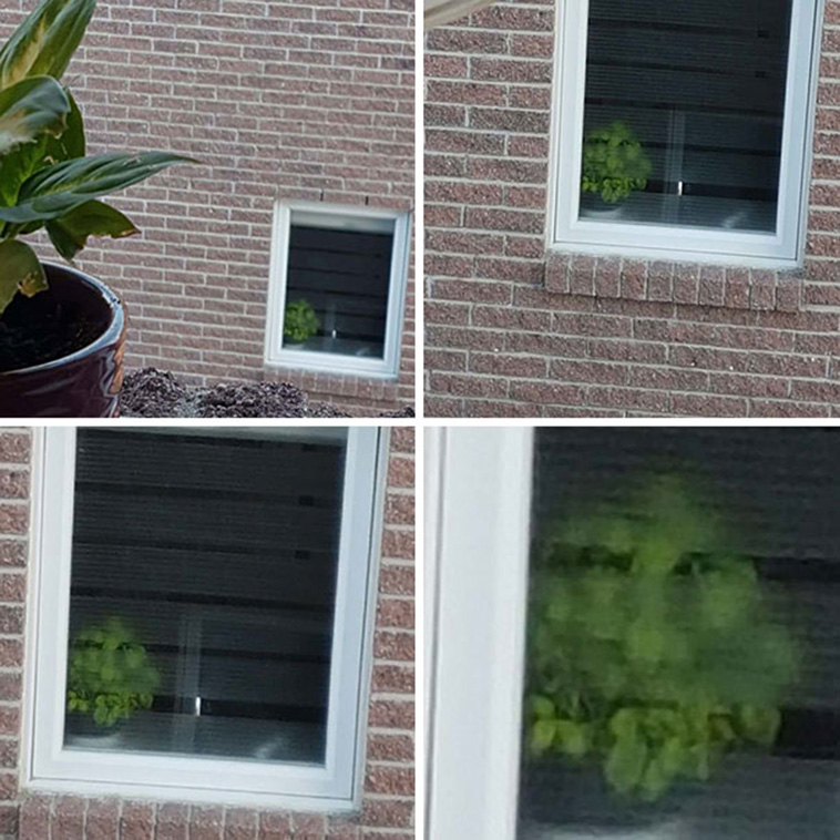 Pareidolia In The Most Unexpected Places