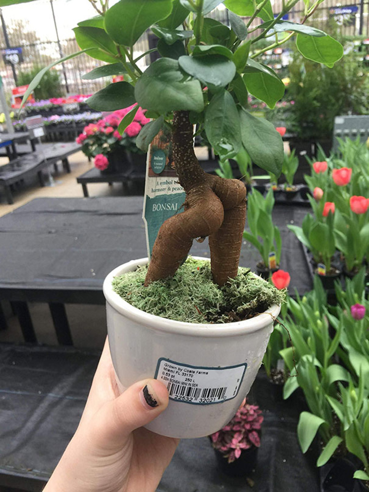 Pareidolia In The Most Unexpected Places