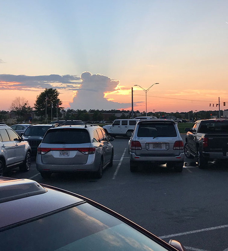 Pareidolia In The Most Unexpected Places