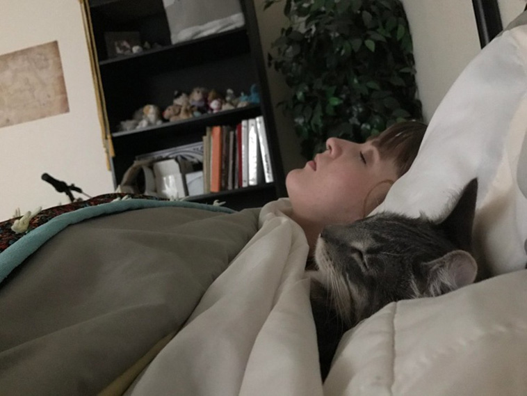 Sleeping Cats