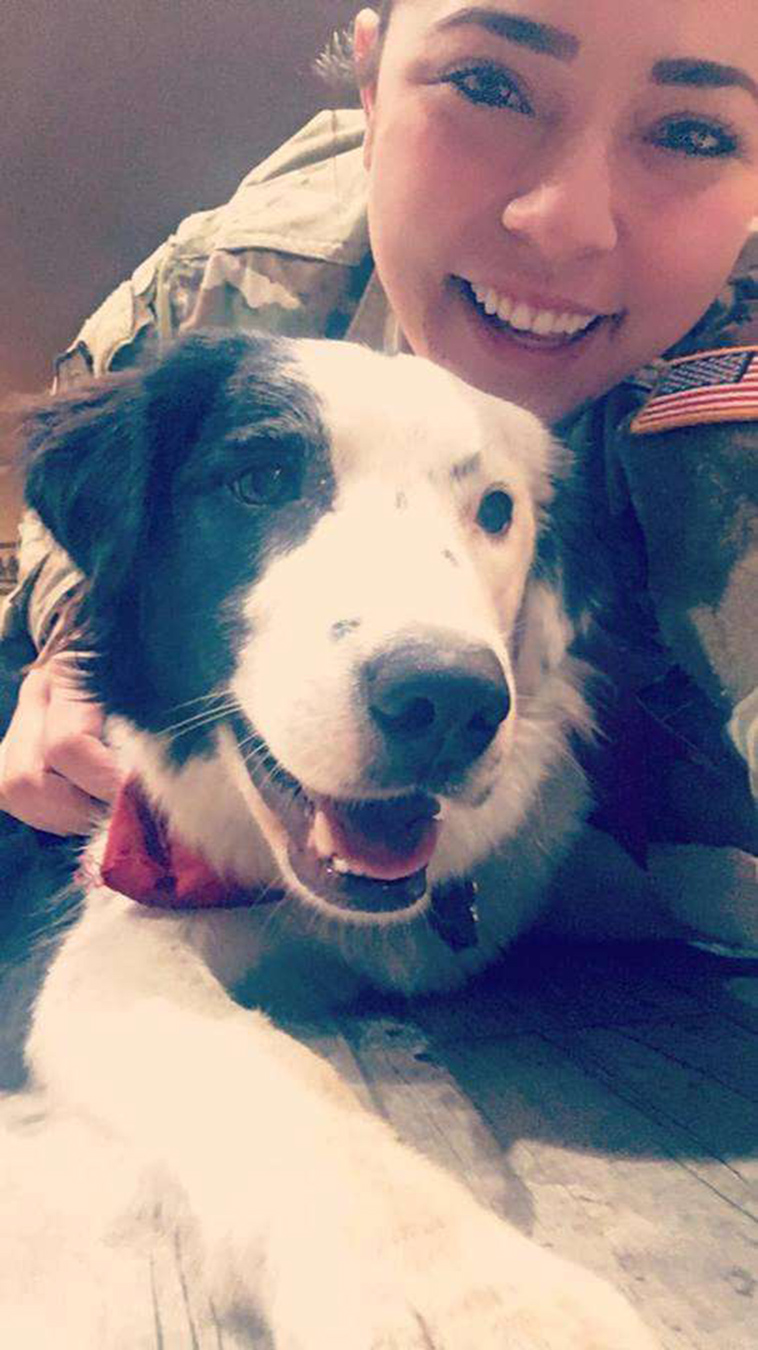 dog-is-happy-to-see-owner