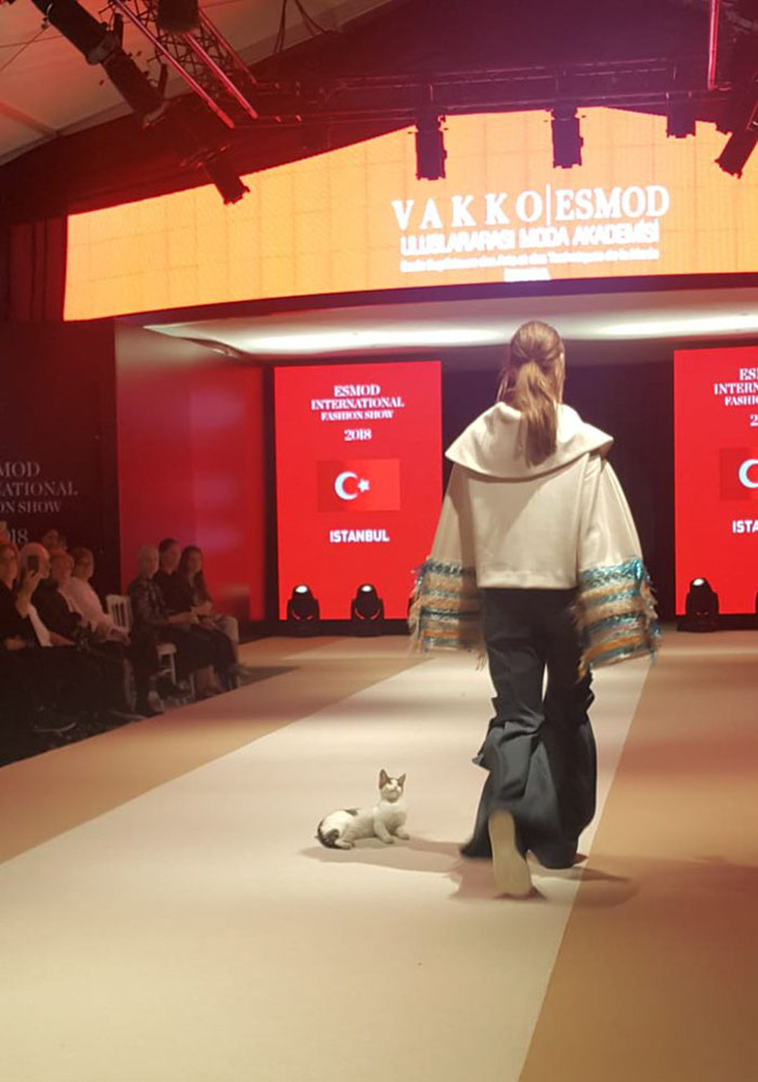 stray-cat-istanbul-fashion-show