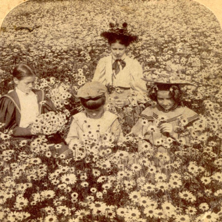 victorian-life-1890s