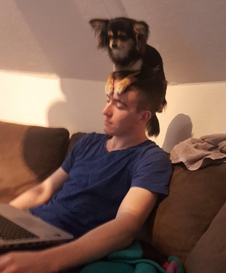 Pets Are Adorable Weirdos
