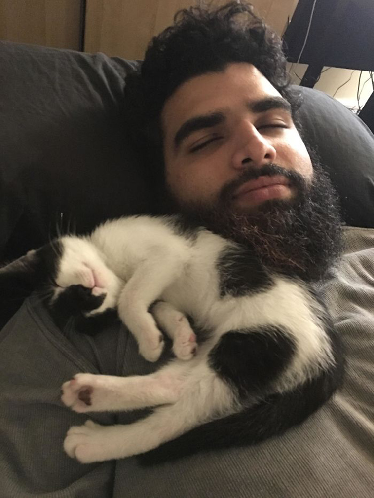 funny-cat-pics-2019