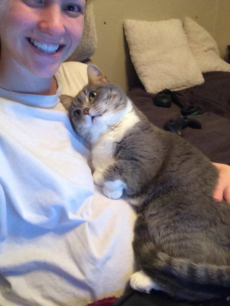 funny-cat-pics-2019
