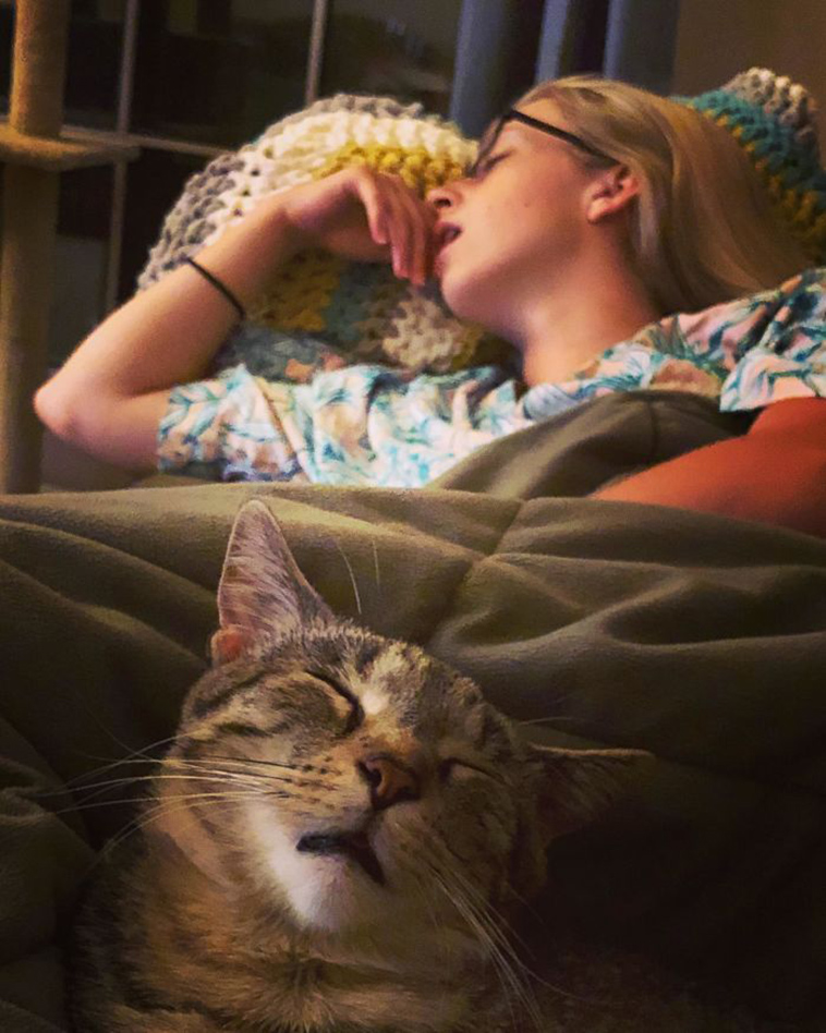funny-cat-pics-2019