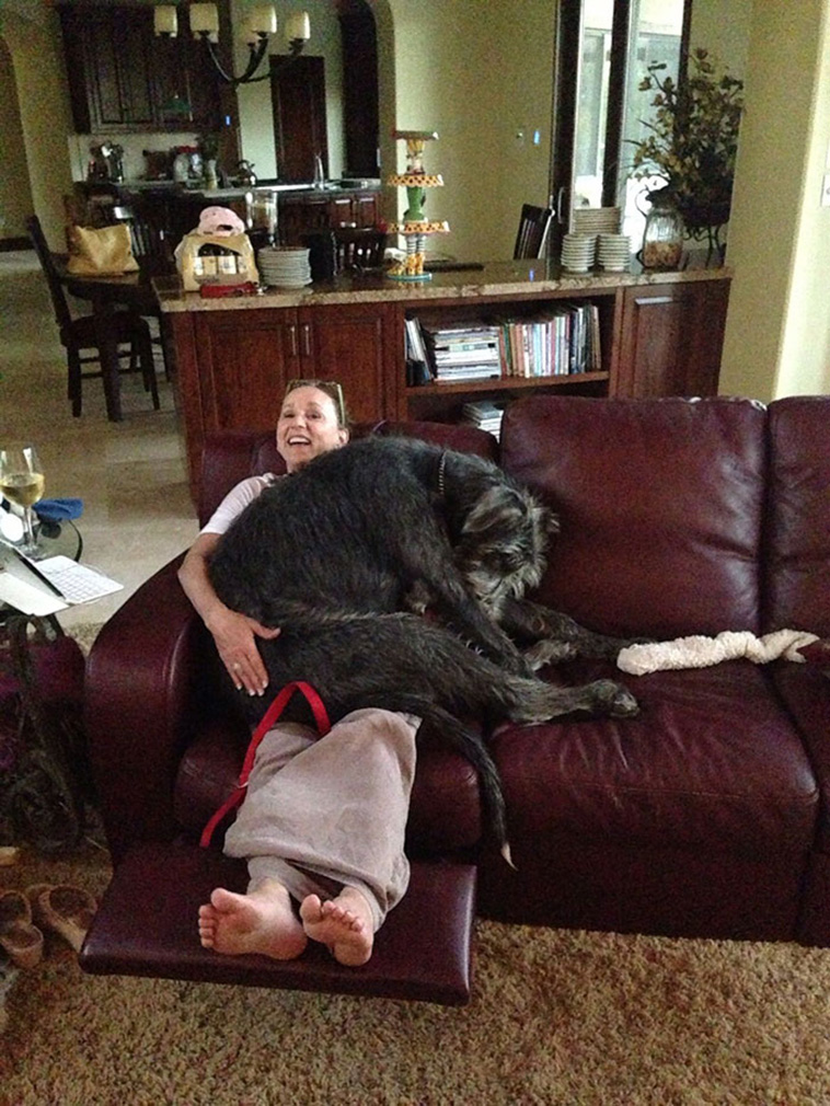 Irish Wolfhounds