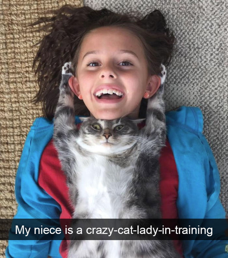 hilarious-cat-snapchats