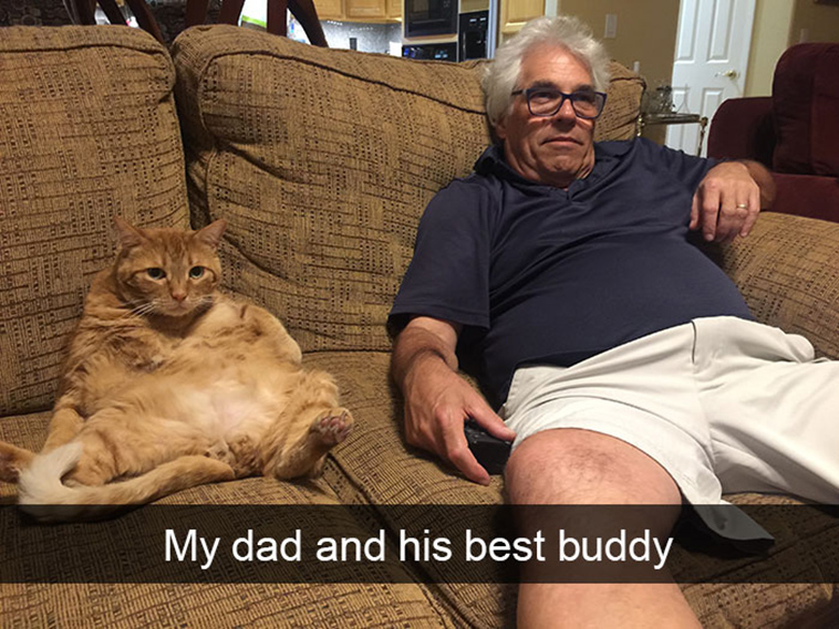 hilarious-cat-snapchats
