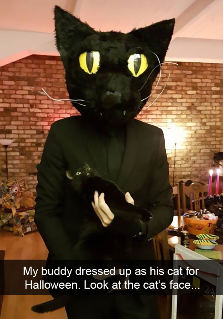 hilarious-cat-snapchats