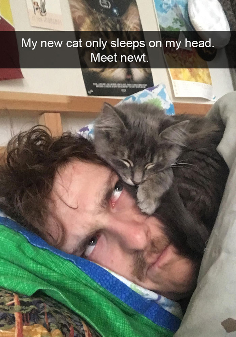 hilarious-cat-snapchats