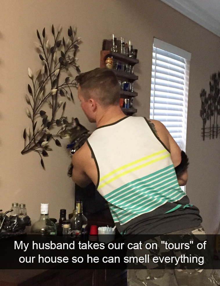 hilarious-cat-snapchats