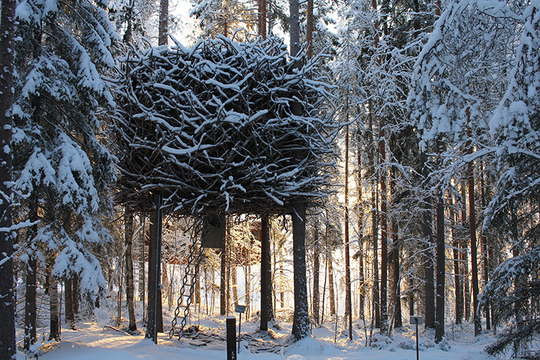 Bird's Nest Treehouse
