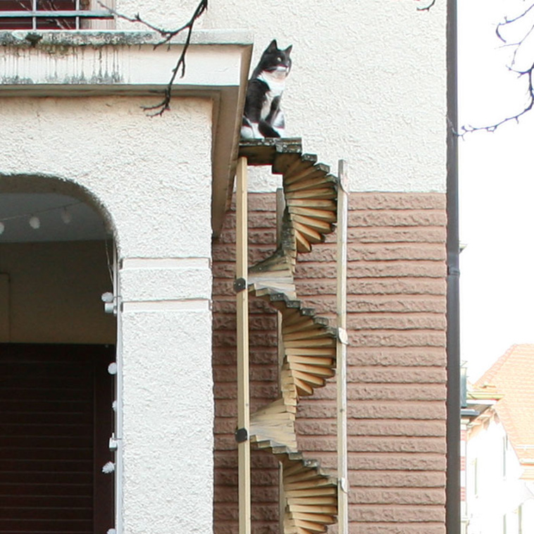 cat ladders switzerland