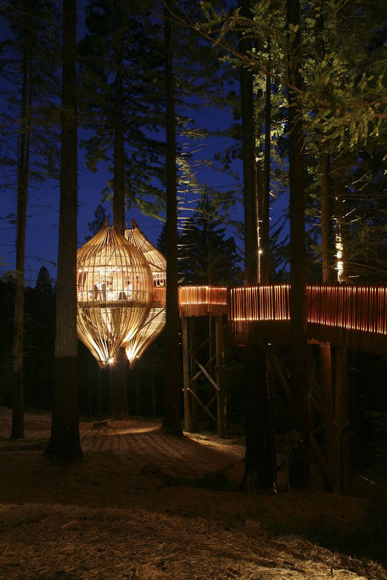 Redwoods Treehouse