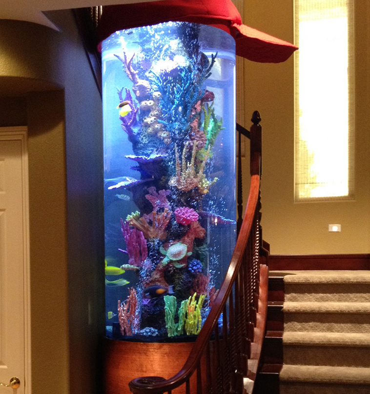 cool interior design ideas