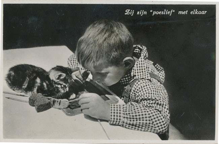oldest cat photos