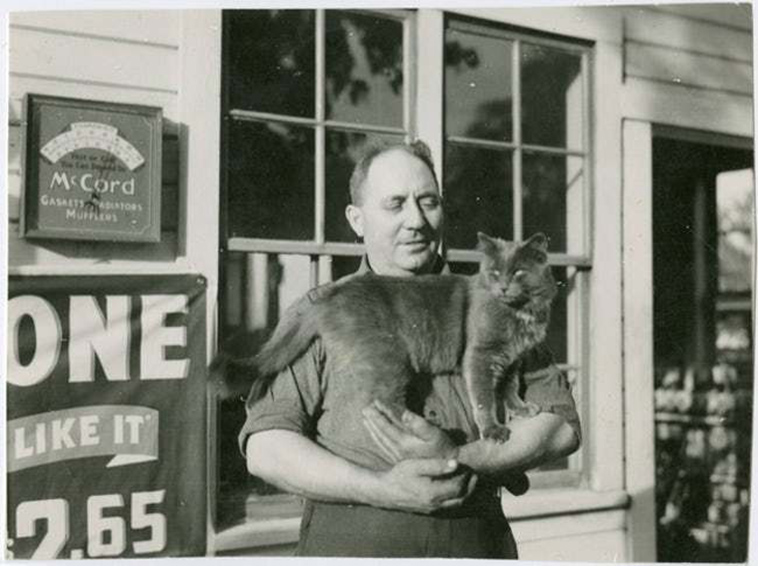 oldest cat photos
