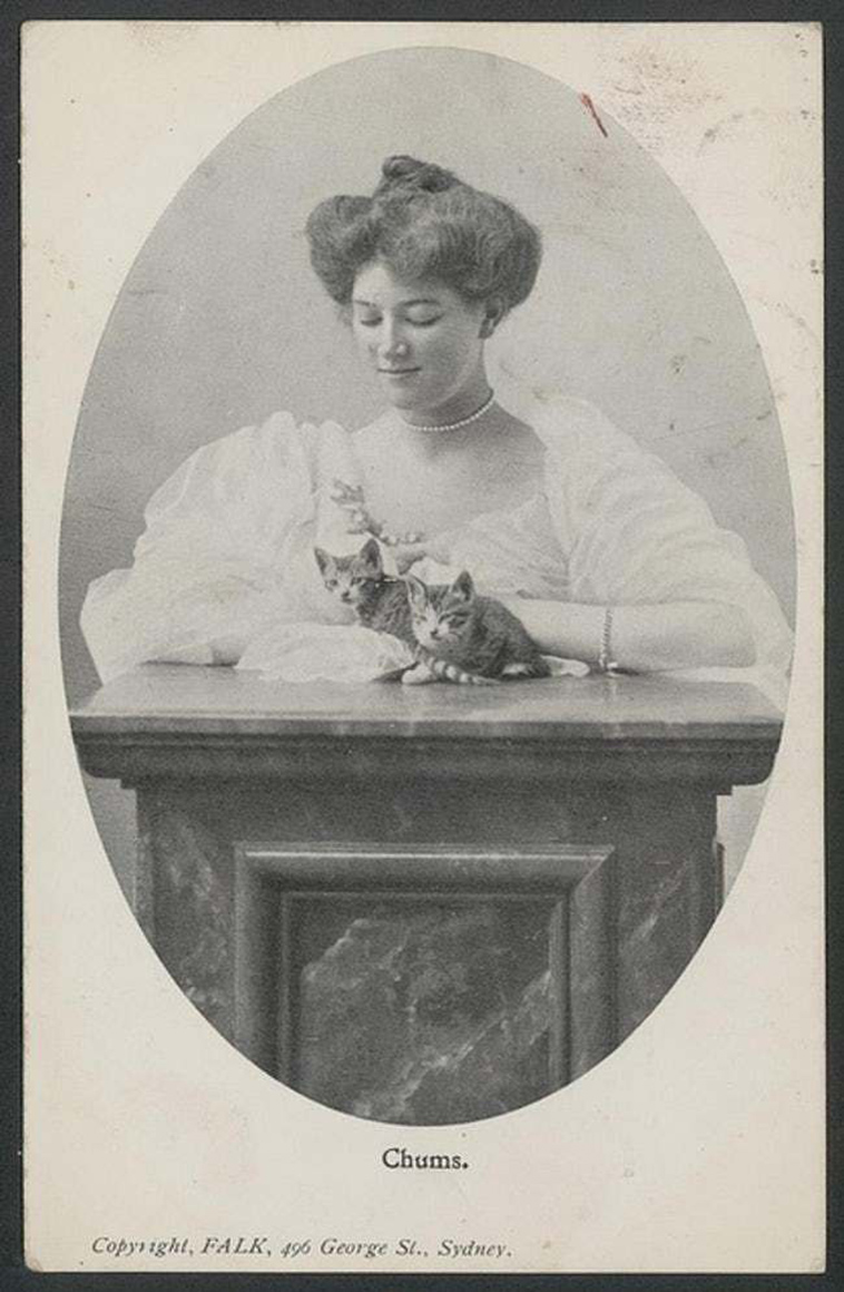 oldest cat photos