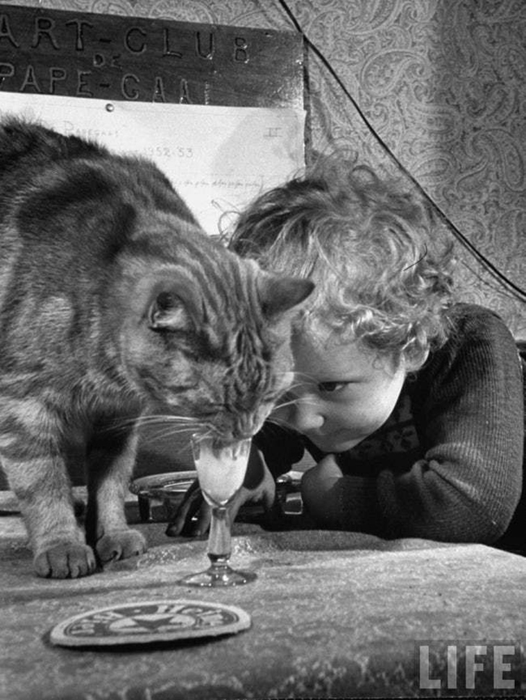oldest cat photos