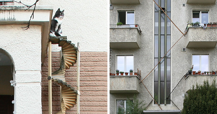 cat ladders switzerland