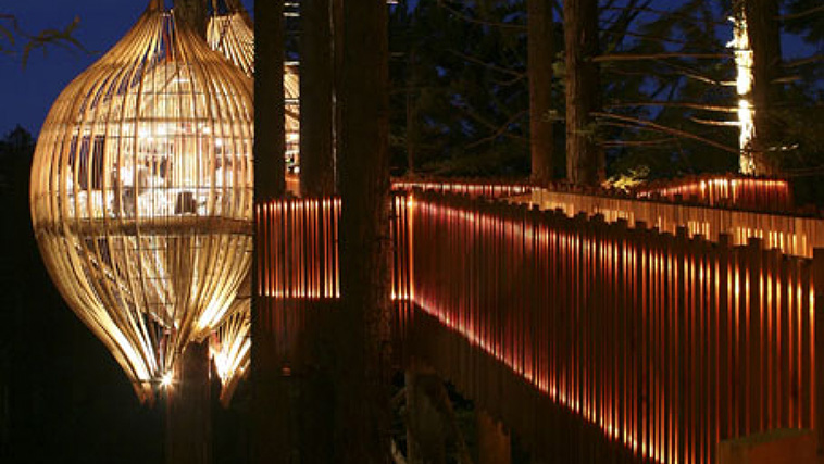 treehouse