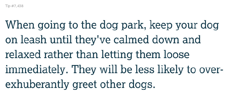 Pet Owner Tips