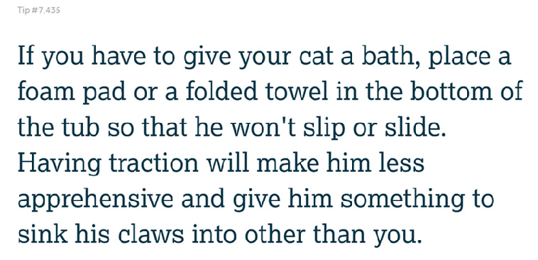 Pet Owner Tips