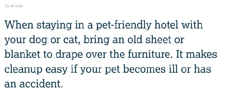 Pet Owner Tips