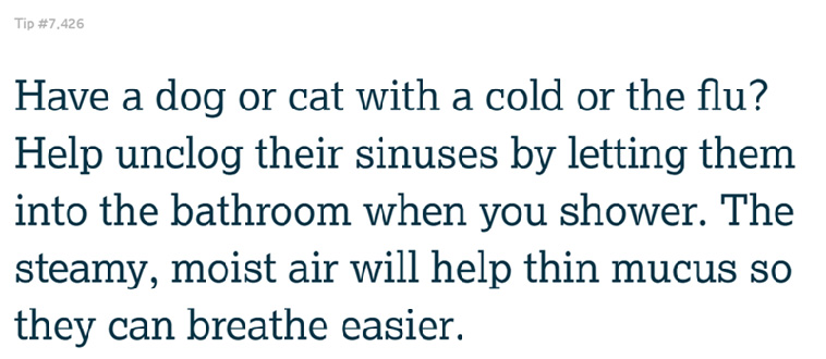 Pet Owner Tips