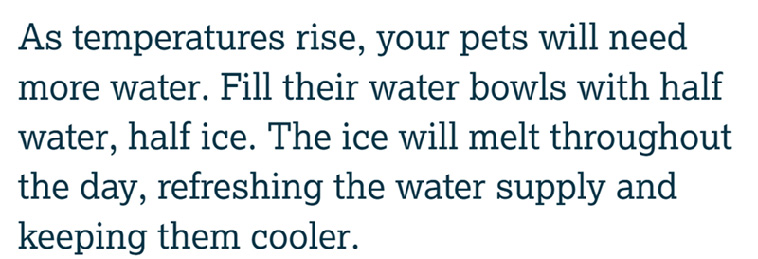 Pet Owner Tips