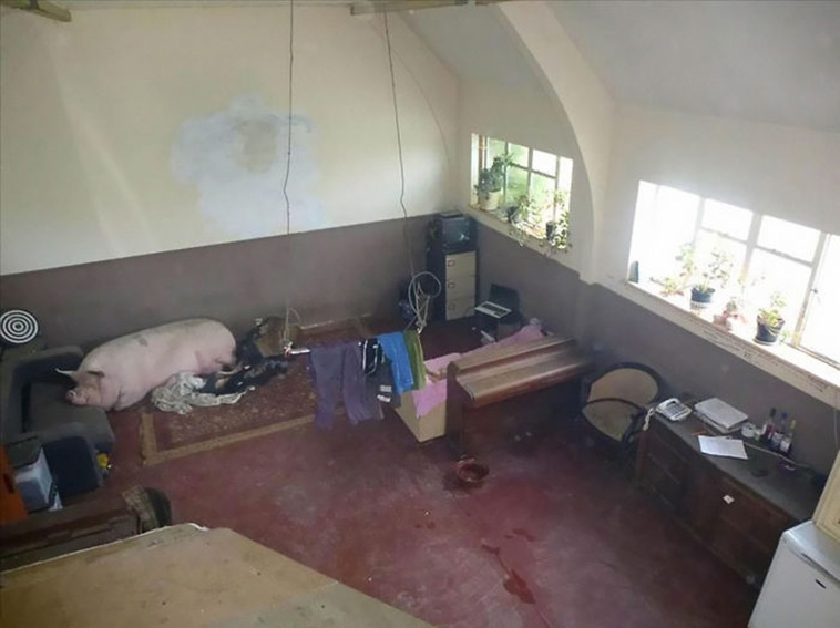 Real Estate Agents Terrible Photos