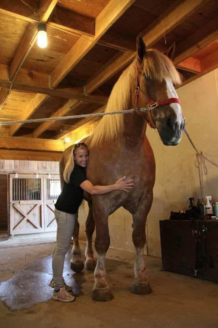 animals size beyond our understanding